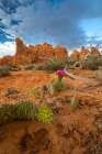 Sunset, Devils Garden, Arches National Park, Utah, USA. Art Print